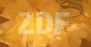 ZDF talkshow mit Blumen veredelt